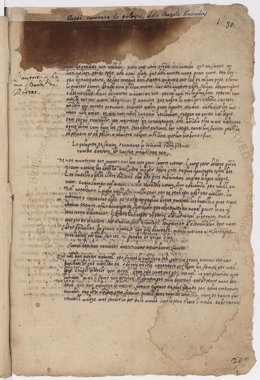 Primièra pagina del tractat Dels Auzels cassadors eissida del fulhet 30r del manuscrit Barb.lat.4087 conservat a la Biblioteca Apostolica Vaticana (Roma)