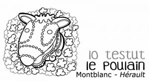 Testut-2-300x163.jpg Testut-2-300x163.jpg